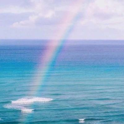 华体会登录(官方)APP下载下载手机版截图