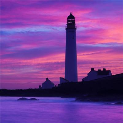 365平台官方版下载