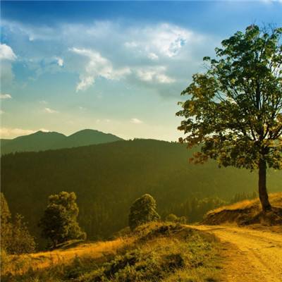 bet体育365官网正规手机app下载