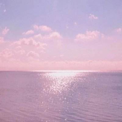 半岛·综合app下载